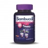 Sambucol Plus Kids Yummies 60 Çiğnenebilir Tablet