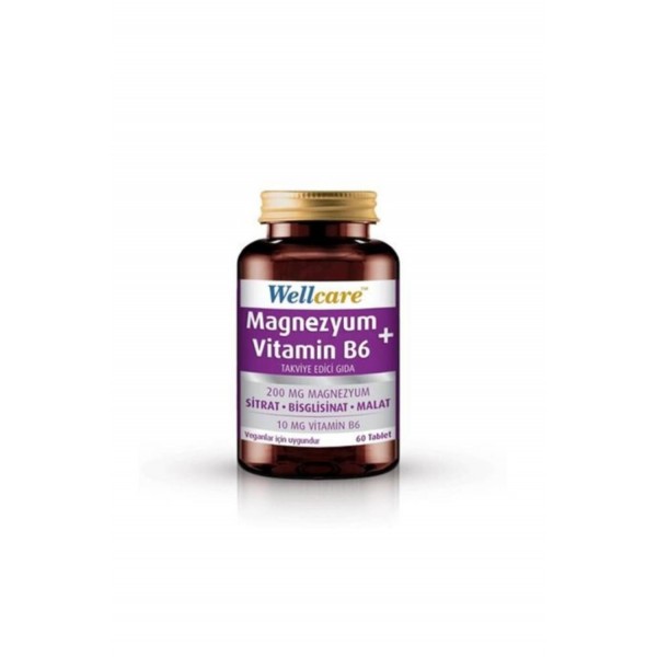 Wellcare Magnezyum + Vitamin B6 60 Tablet